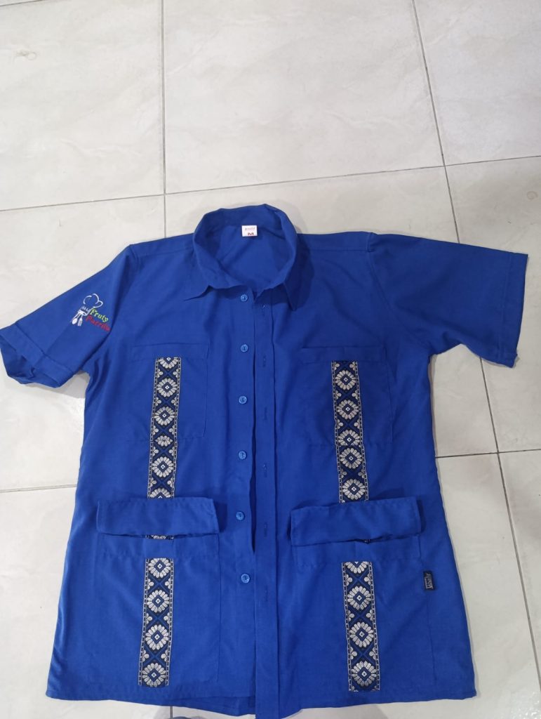 Camisa o blusa escolar 031